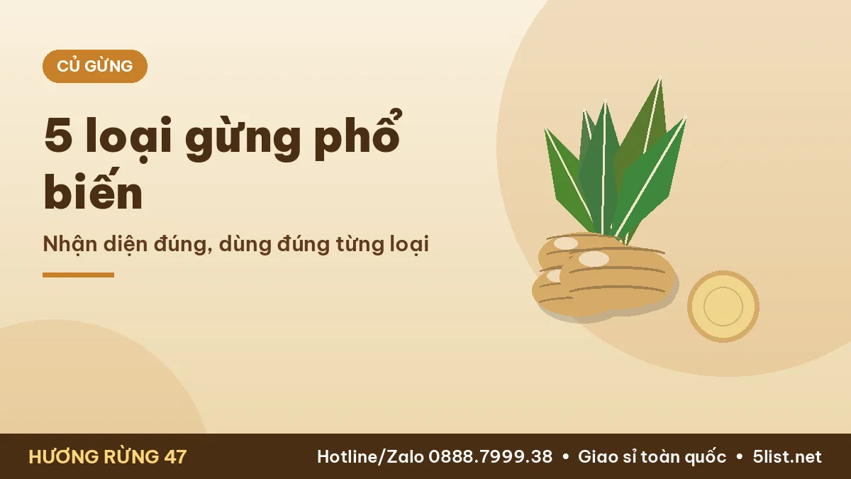 Các loại gừng phổ biến ở Việt Nam
