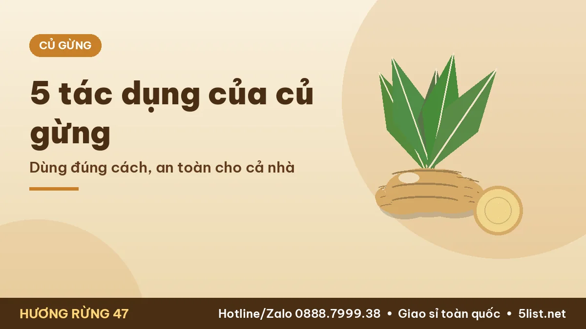 Tác dụng của củ gừng tươi với sức khỏe