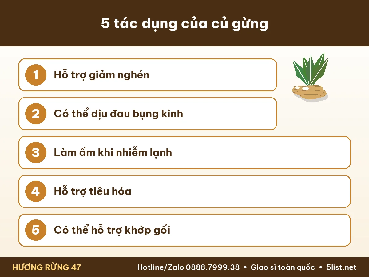 Infographic 5 tác dụng của củ gừng