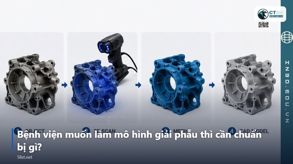 Bệnh viện muốn làm mô hình giải phẫu thì cần chuẩn bị gì? – Top 5 ứng dụng in 3D trong y tế và nha khoa nổi bật